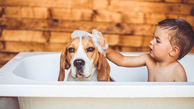 L’enfant et son chien prennent un bain